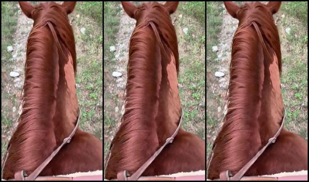 Mistress Gaia Orresti Essere Al Suo Posto Ponyplay