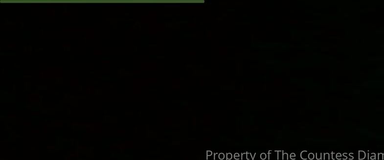 Countess Diamond Aka Countessdiamond Onlyfans Q Ampa 220 Imagine Theres No Covid If You Would Go To One Place In The World