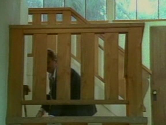 "Asia Carrera, Bobby Vitale, Chasey Lain, Ian Daniels, Jill Kelly, Joey Silvera, Roxanne Hall, Shelby Stevens" Feature Scrue Vivid