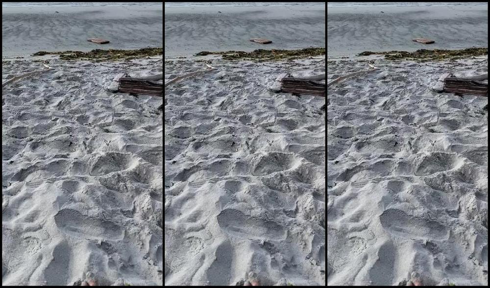 Goddesssevera Onlyfans At The Beach Bright And Early This Morning Thought Of You Gentlemen