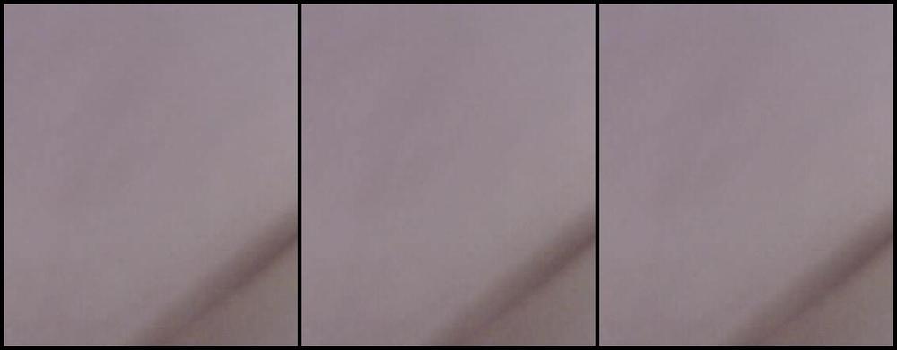 V Hunting Whitetail Suckandfuck N Park