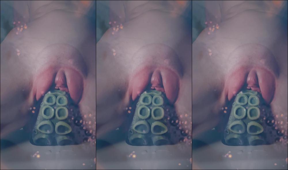 Autumn Orchid 648639157173755904