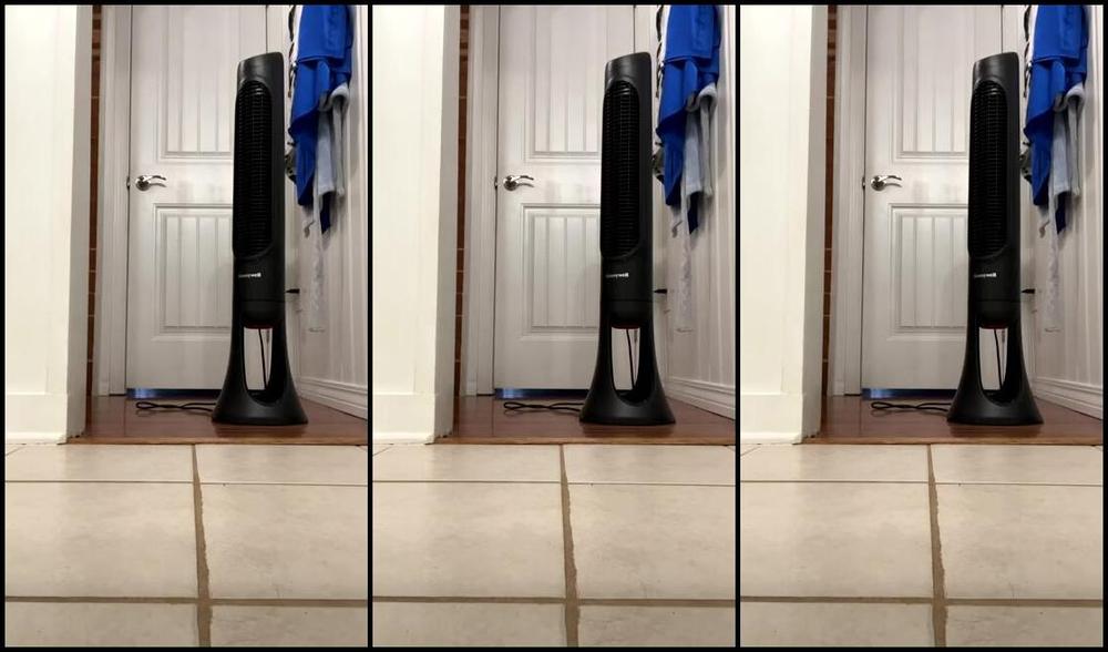 Giantess Tara Nicknamed Giantesstara 12 17 2023 Onlyfans Video Stream Started At 12172023 0940 Pm Come Hang While I Paint My Toes Feel Free To