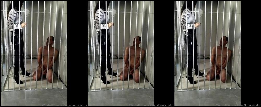 Herrinlady Onlyfans Hahahaha So Schtig Nach Mir Die Sau Er Wird Nie Von Mir Loskommen Slave Of Herrinladyp