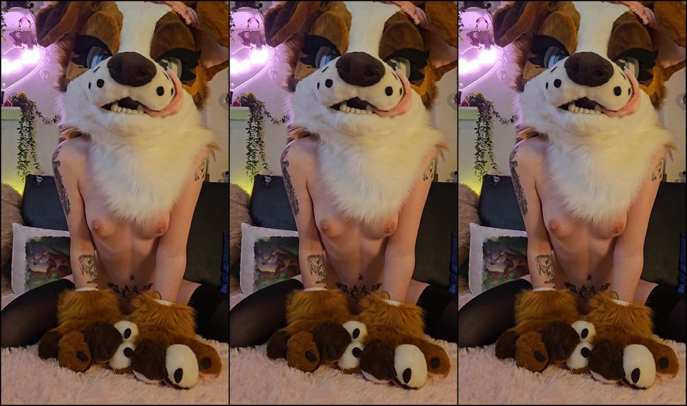 Ad Rutt 1201956379 Goofy Puppy Is Excited For A Breeding Come Fill Her Up 01 0Hscjjvy9U8Ltibpt5Pkj Source