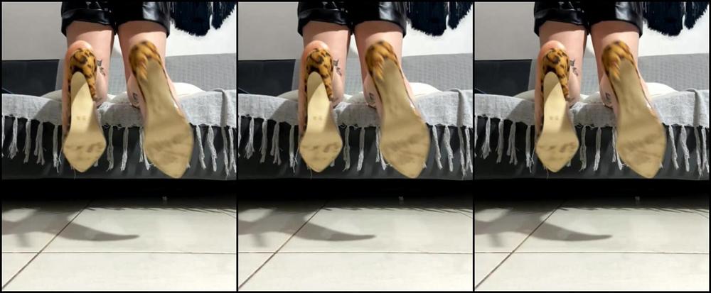 Mpetitspieds Stream Started At Pm Good Evening