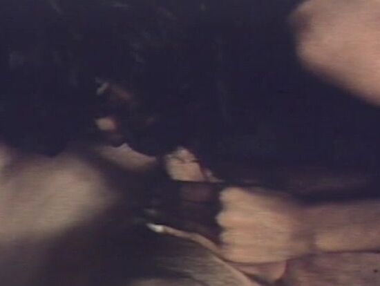 "Mix" All Sex, Classic Teenage Cowgirls FilmBox / VideoXPix