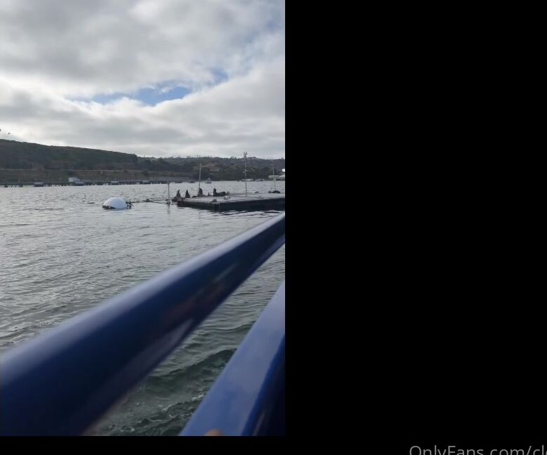 Clca69 2876871432 06 11 2023 Went On The San Diego Seal Tour It Was Cool To Go On A Vehicle That