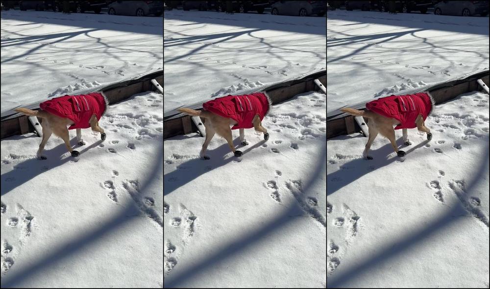 Peachdumpling1 0Hxvadbqh2Pdlq4Jltbyy Source