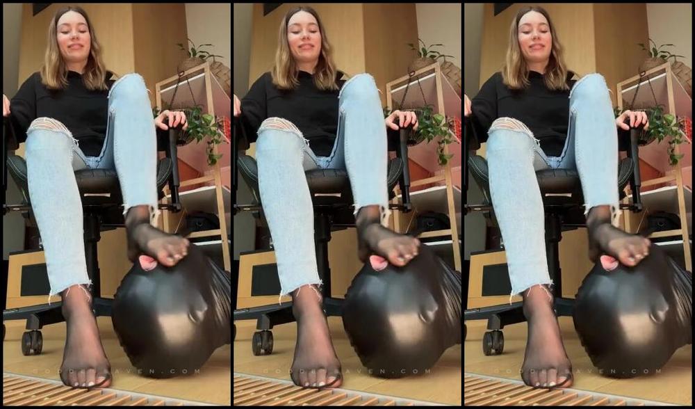 Goddess Aven Aka Aventurinex Onlyfans Sheer Tight Nylons Worshipp