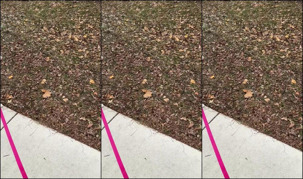 Peachdumpling1 0Hwugoq0J5W2Err7Fo5Ax Source