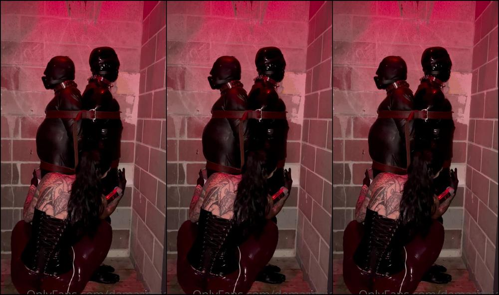 Damazonia Last Night I Decided To Let Both My Gimps Cum However I Wanted To Play A Little Game