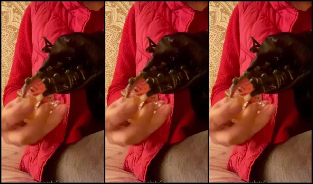 Catprincessfeet Onlyfans Ummwho Wants To Seehear This In Action