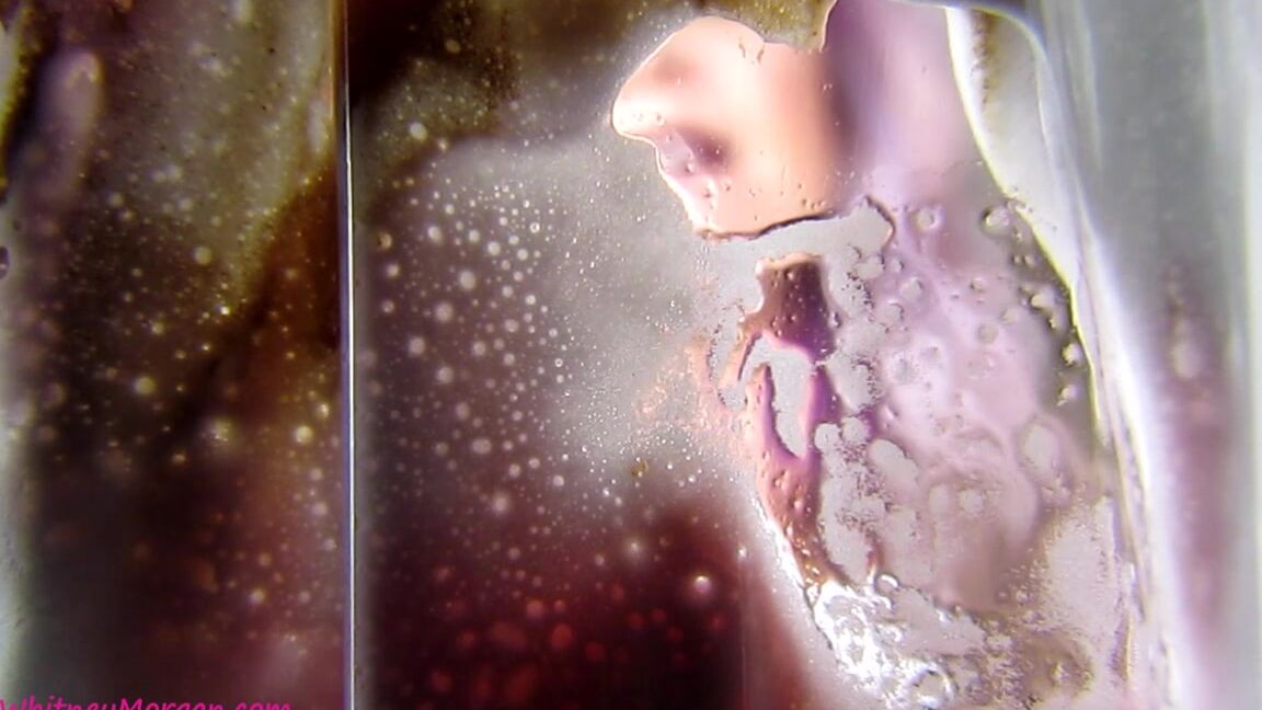 Misswhitneymorgan Whitney Morgan Wams The Waiter