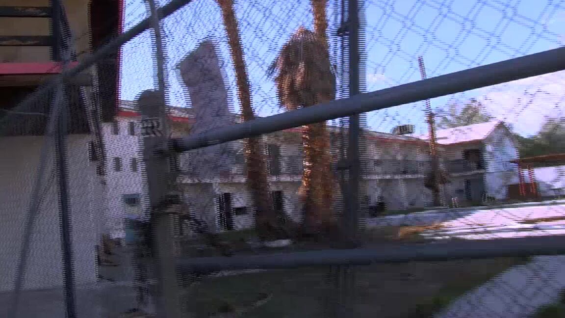 Savannah Fox Hooking Up In A Abandoned Motel