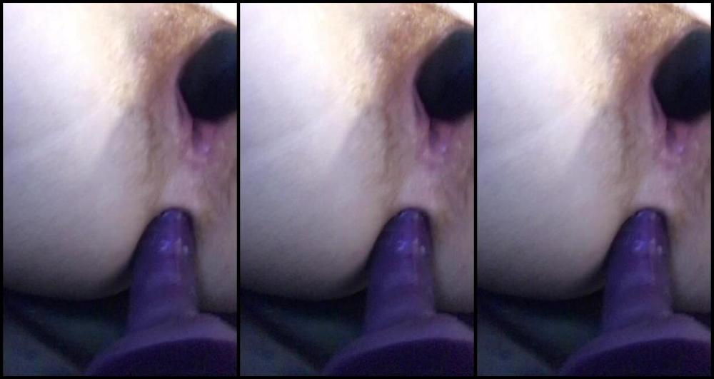 Purplehazetv Bonus Anal Orgasm God Meow
