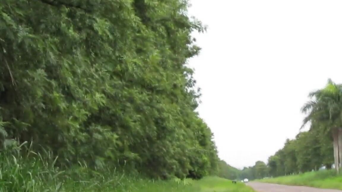 Outdoors, Public Outdoor, Public Nudity, Teens, Ass misssweetteen masturbation on the road with rain ManyVids