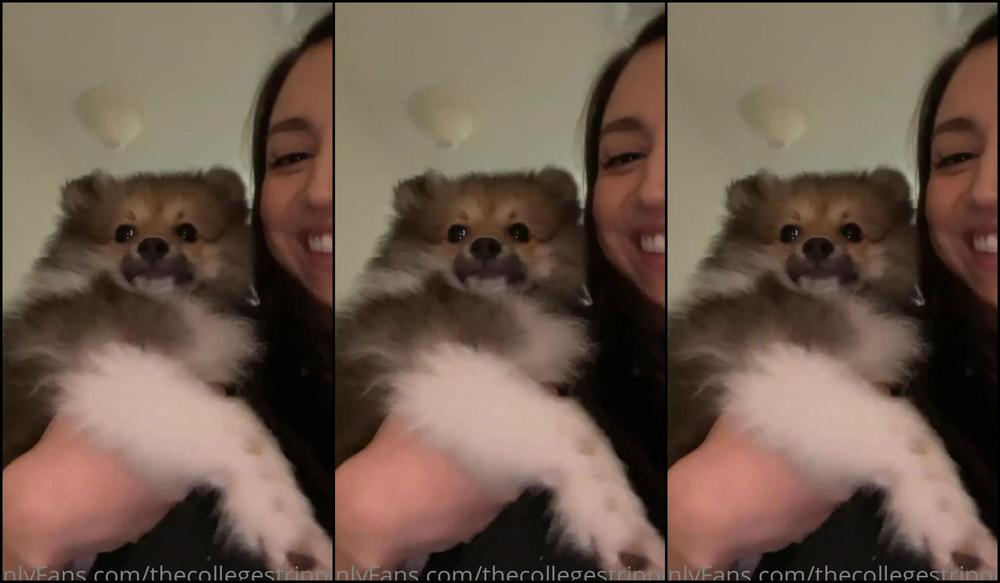 Thecollegestripper The Cutest Lil Pup