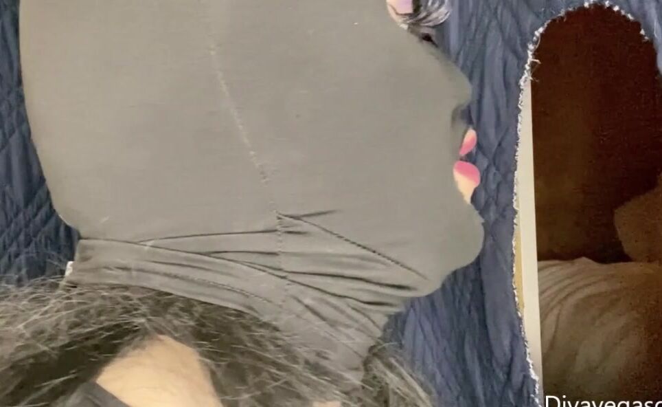 Divavegasgh First Afghanistan Cock