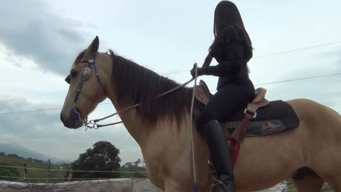 Ghrfan Onlyfans The Second Clip Of The Equestrian Latin Huntresses Serie The F Rm Of Pain By Kalinda One