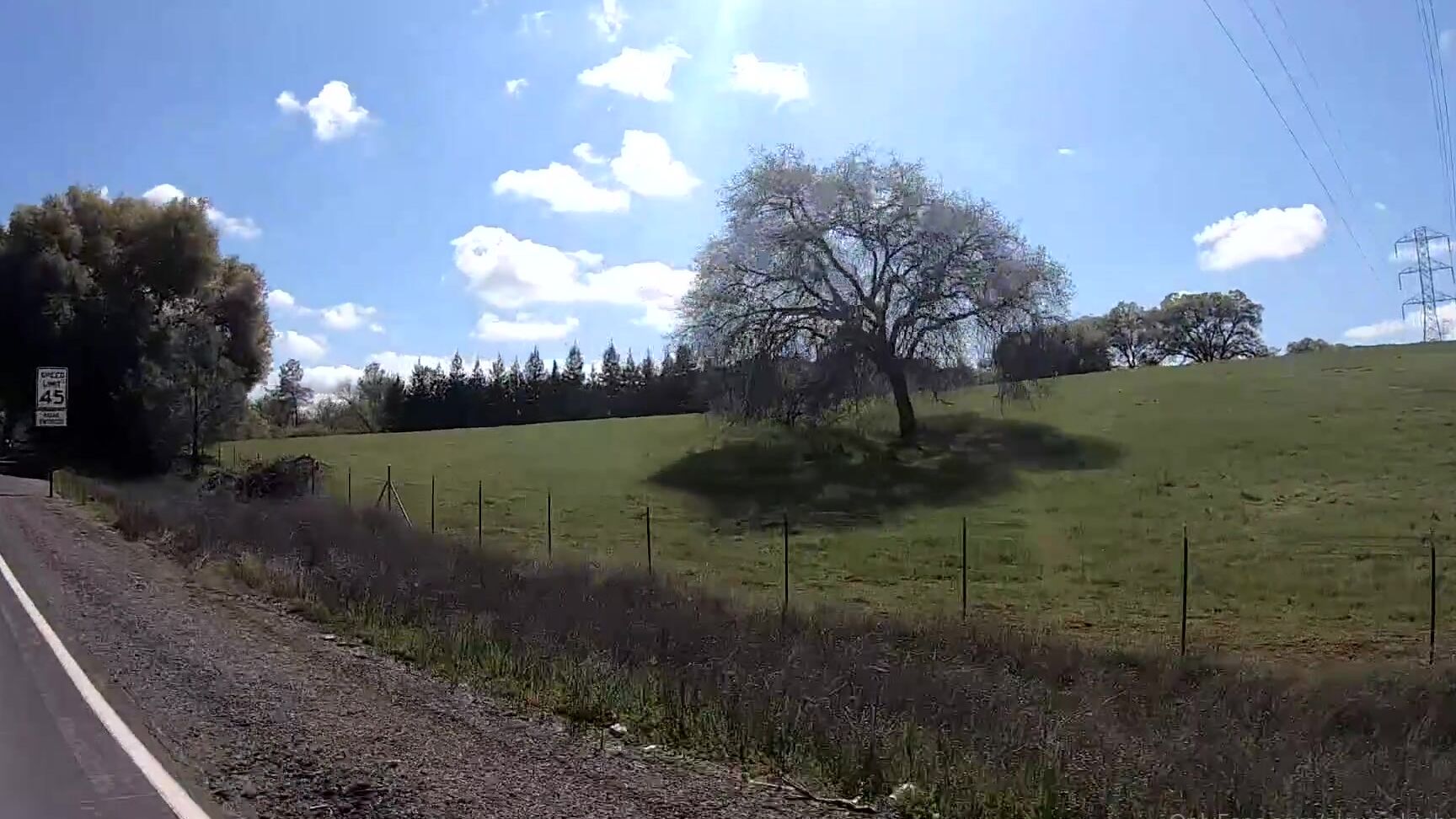 Alexandriahamilton 250908197 04 21 2020 To The Dump To The Dump To The Dump Dump Dump