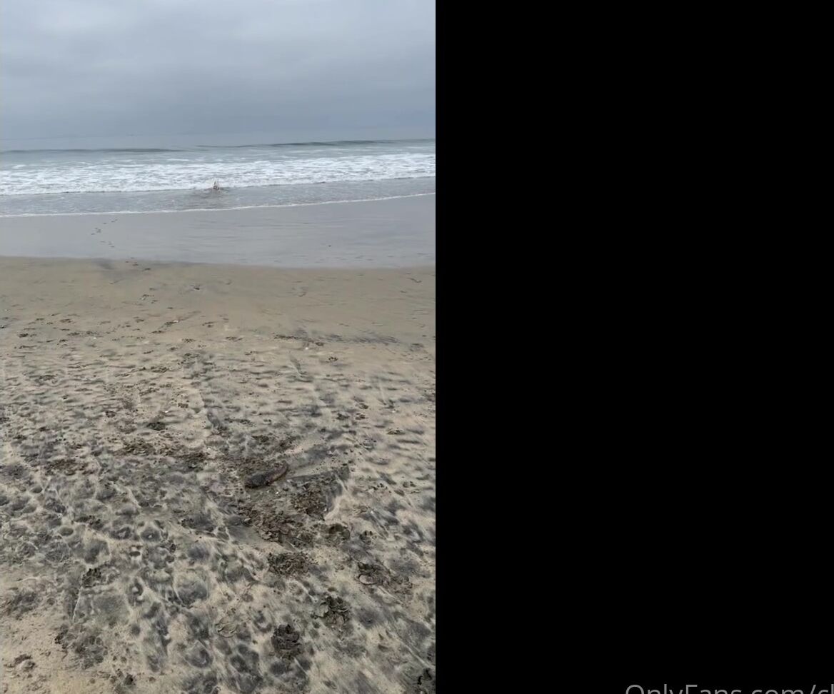 Clca69 2979027455 10 08 2023 The Waves Were A Little Crazy Today So Tofu Didn T Swim That Much But Was Still