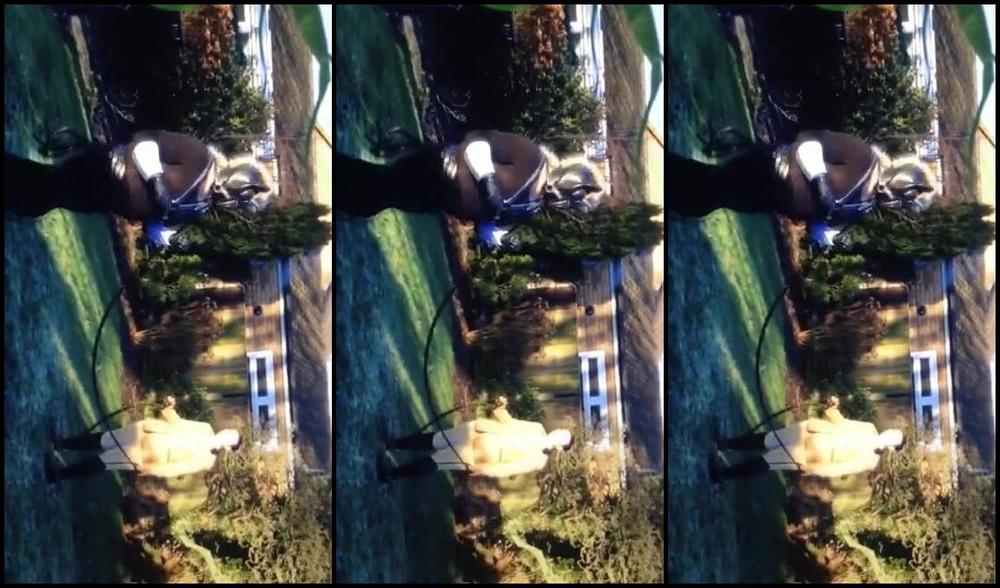 Mistress Eclipse Nicknamed Mistresseeclips Femdom 01 31 2018 Onlyfans Video Joey Ponys First Lunge Lesson Part 2