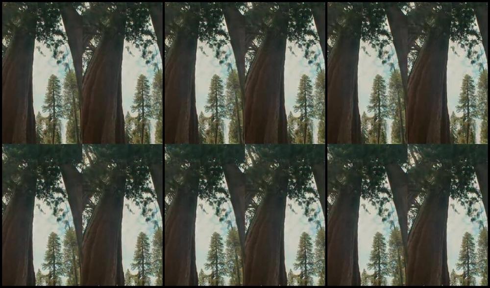 Goddess Anabelle Pync Nicknamed Anabellepync Onlyfans I Just Want To Thank Everyone Here For Making My Dreams A Reality Because Of You I Was Able To Pull