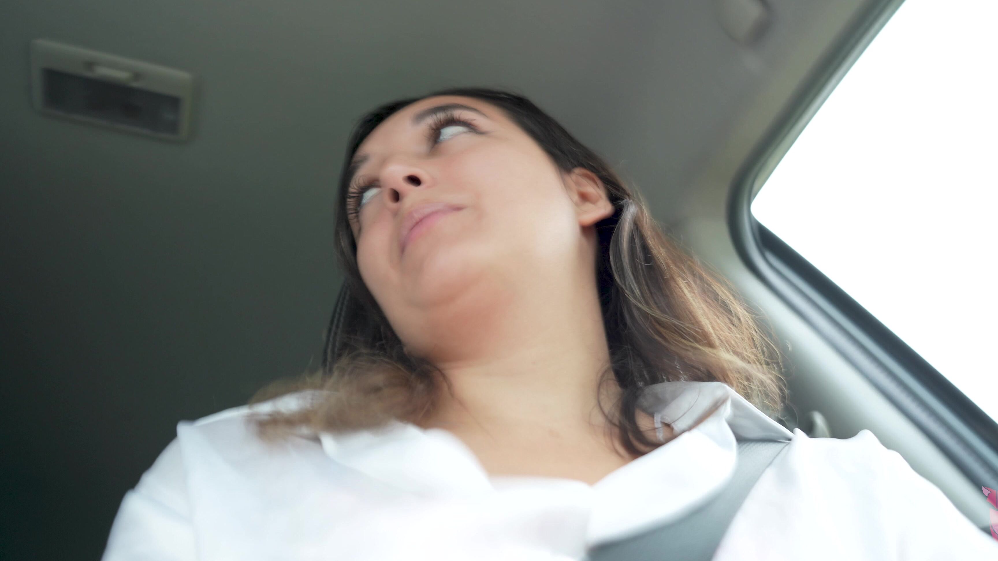 Summer Fox Hitchhiker Amateur Roadhead