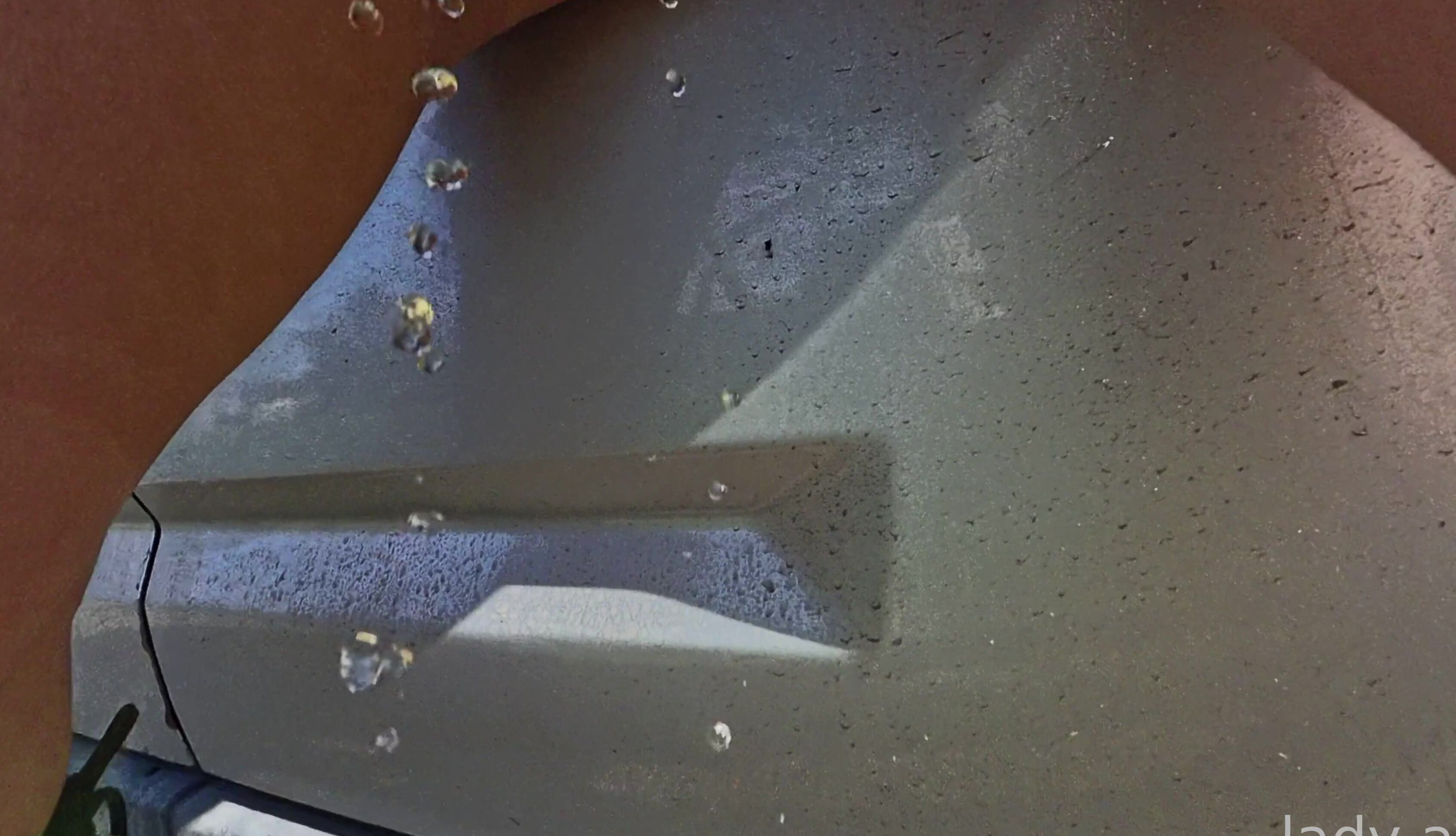 Lady Ana 2025 02 21 At 14 58 Id 749455334875078656 Hash2 1Bbda03B06E3D2Fc97522B34D6C4F9D3