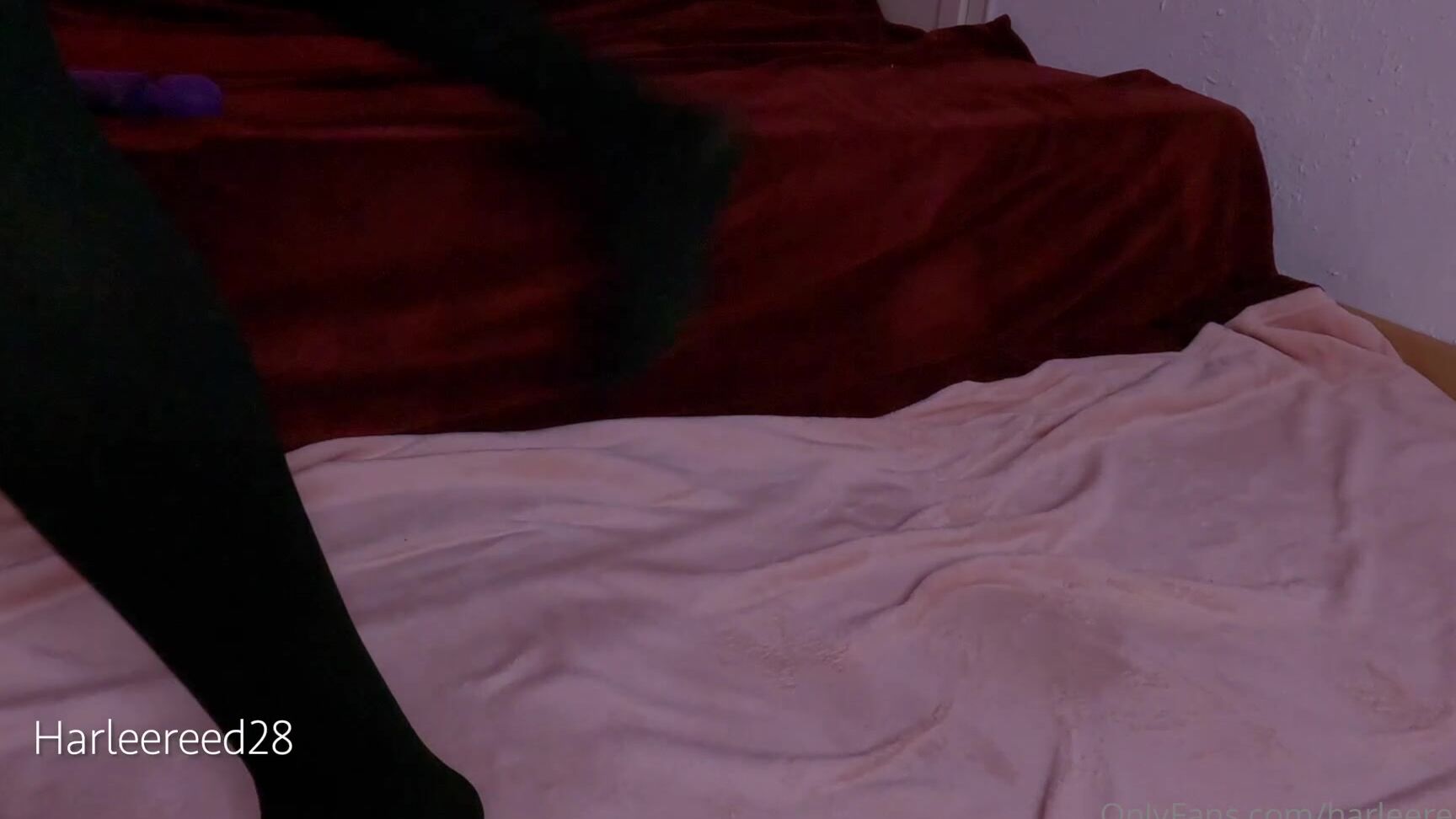 Harleereed Part Ll For Those Who Love Creamy Pussy