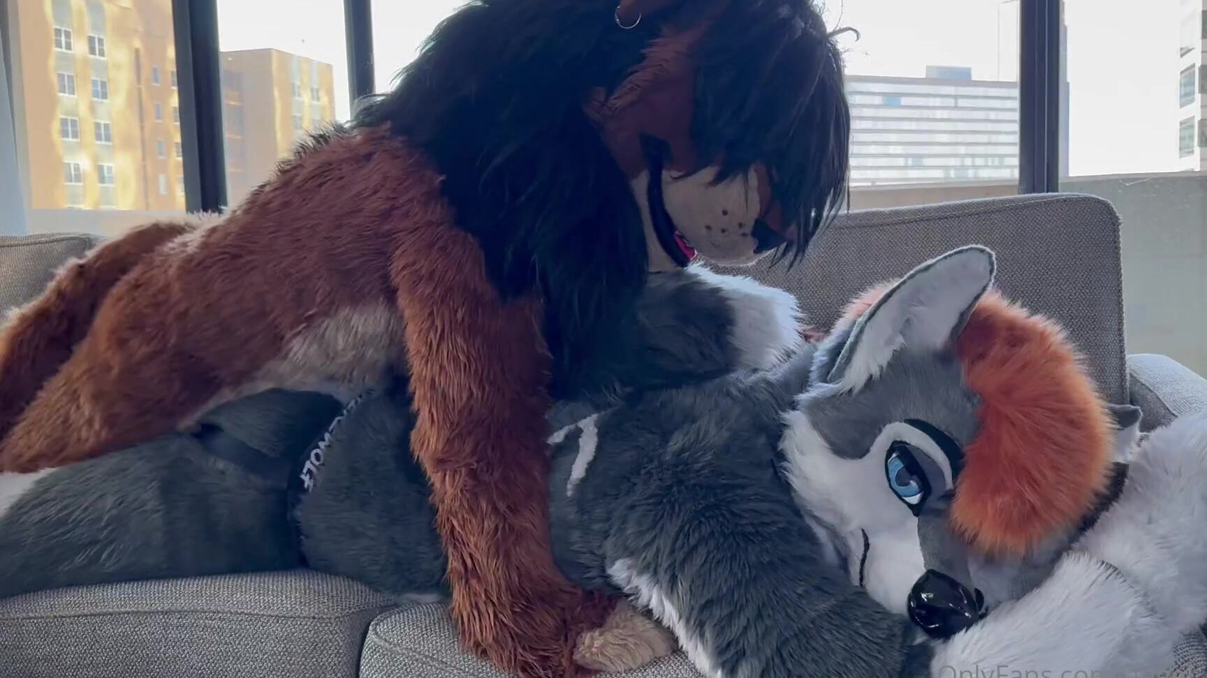 Angel Pups 1303856258 Storms Bottom Arc 02 0Hu8Qkkxrpg0153Qd5Tqx Source