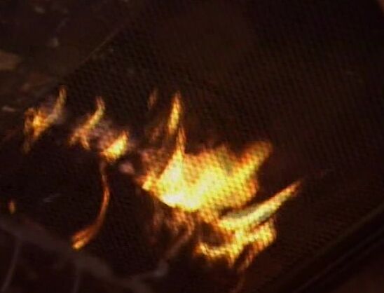 "Holly Body, Kelly Jaye, Nici Sterling, Tabitha, Bobby Vitale, Buck Adams, TT Boy" Feature Centerfold Sin City