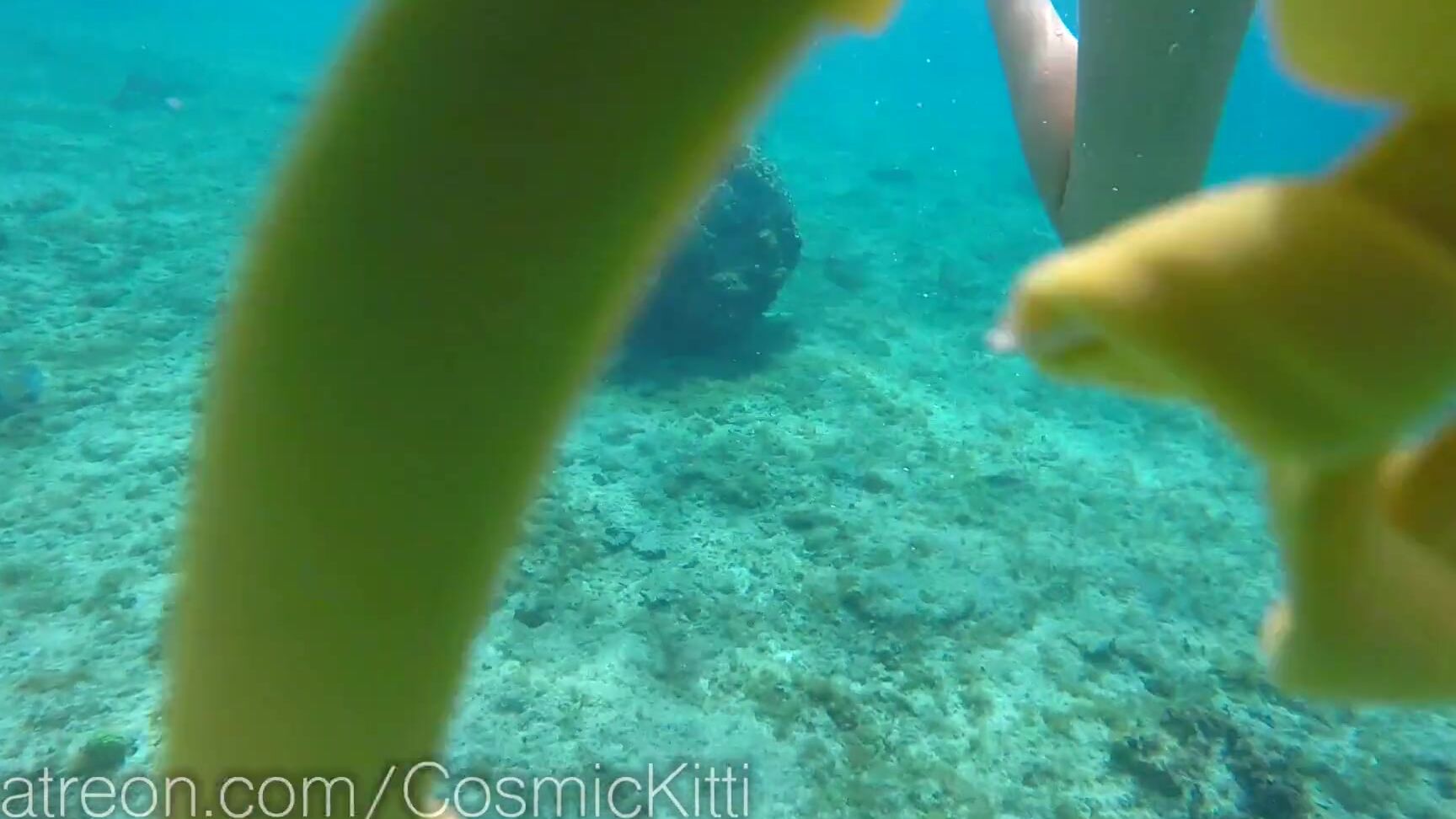 CosmicKitti Подводное плавание полностью обнаженная с рыбой и туристами(1) Pornhub
