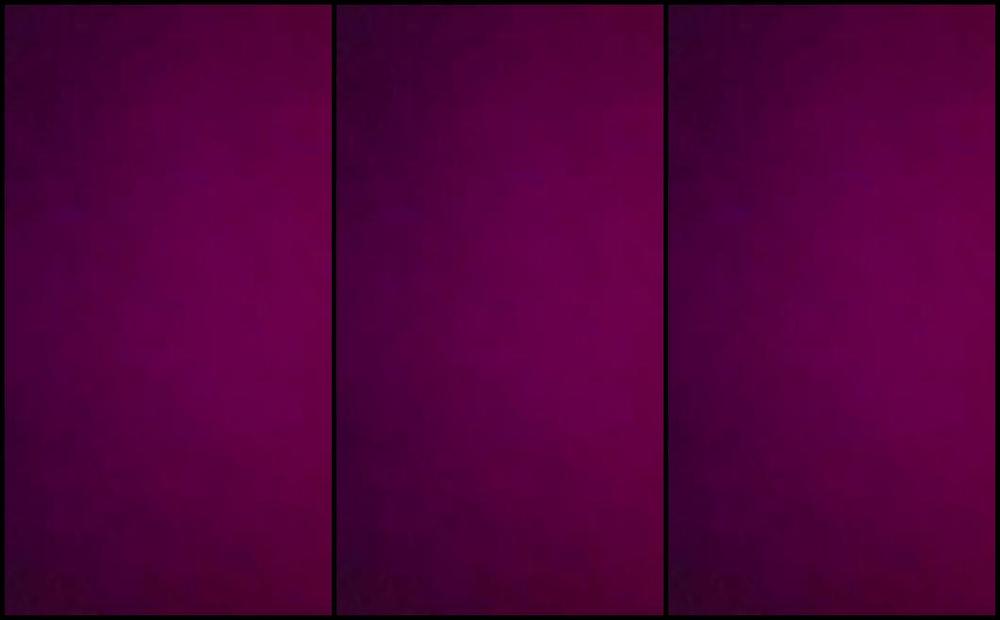 Anacondanoire Onlyfans The Women Of House Of Anaconda Are Untouchable Changing The World One Empowered Queen And Loser