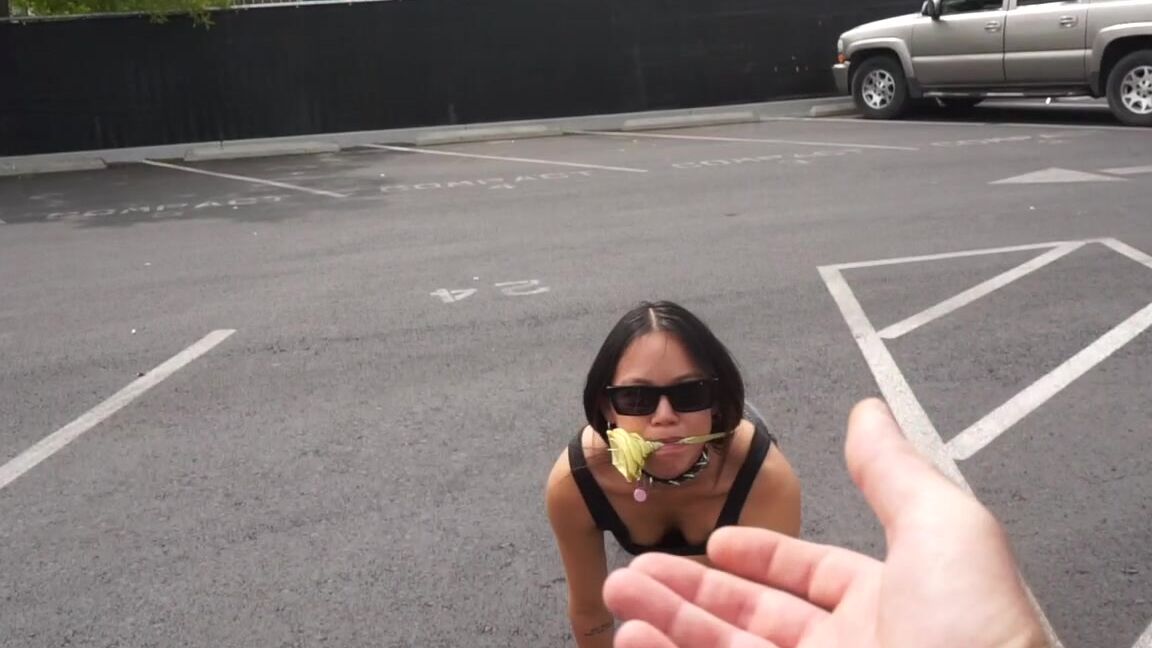 Sabelarsene This Little Puppy Does Anything For A Treat