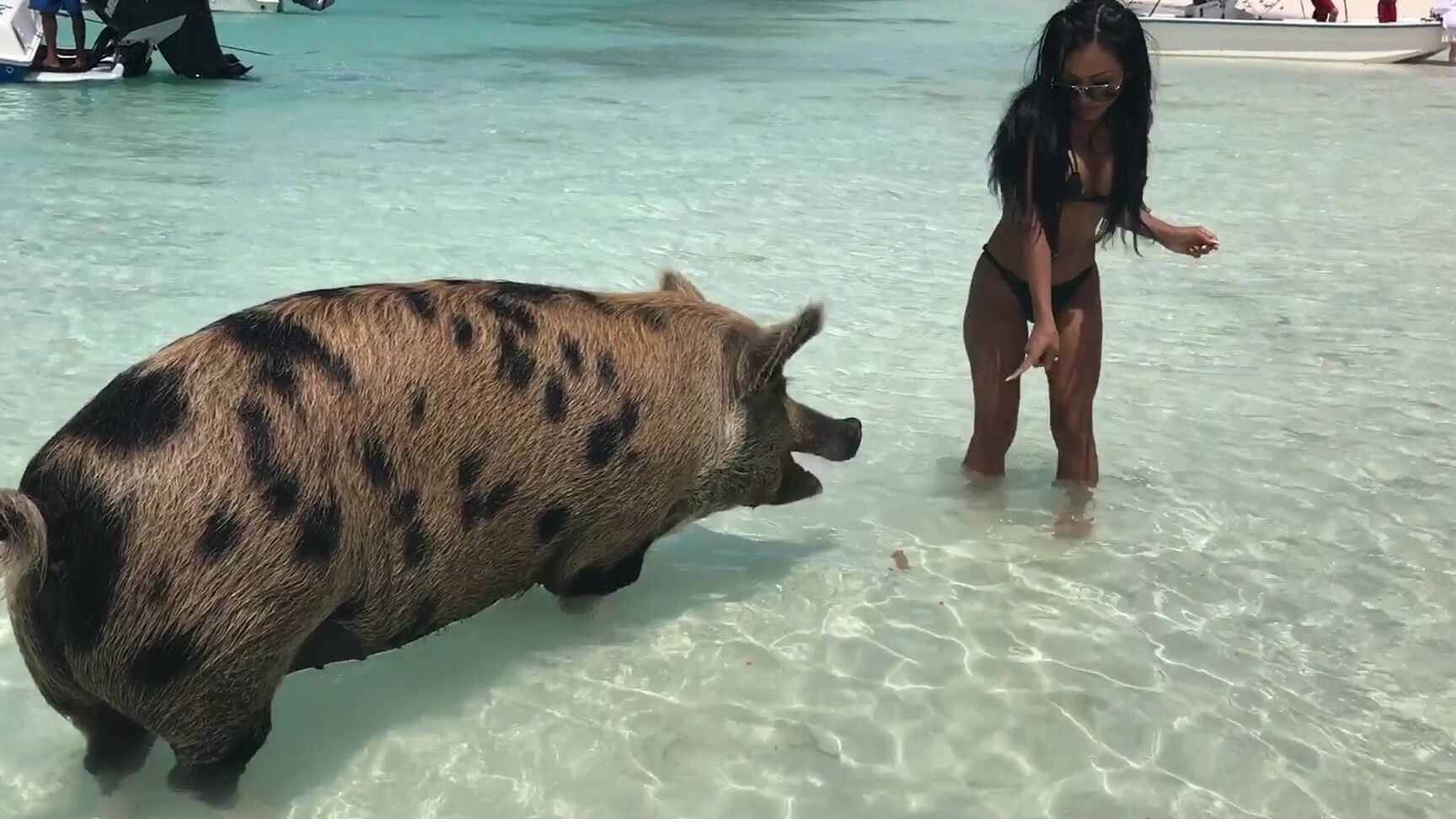 Cjmiles 16 10 2018 3490551