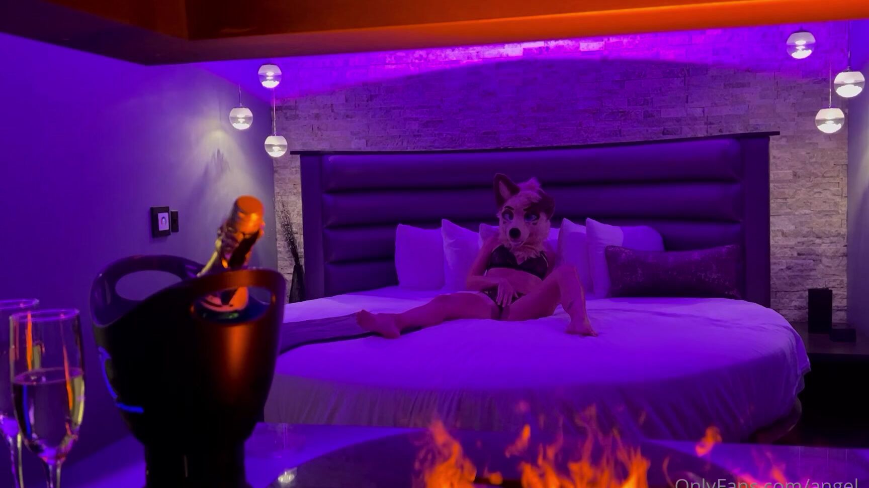 Angel Pups 503634317 Angel Loves Putting On A Little Show 01 1920D7Ed 01F2 4F1A 8794 D27327504D74