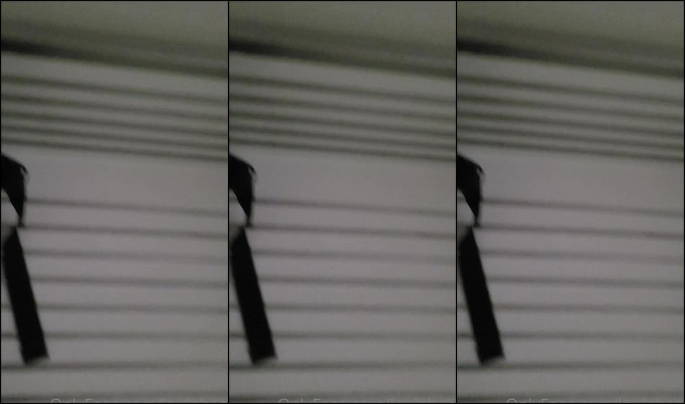 Louinheels He Took Advantage Of Them Whilst I Was Sleeping Tied Them Up Gave Them A Good Covering