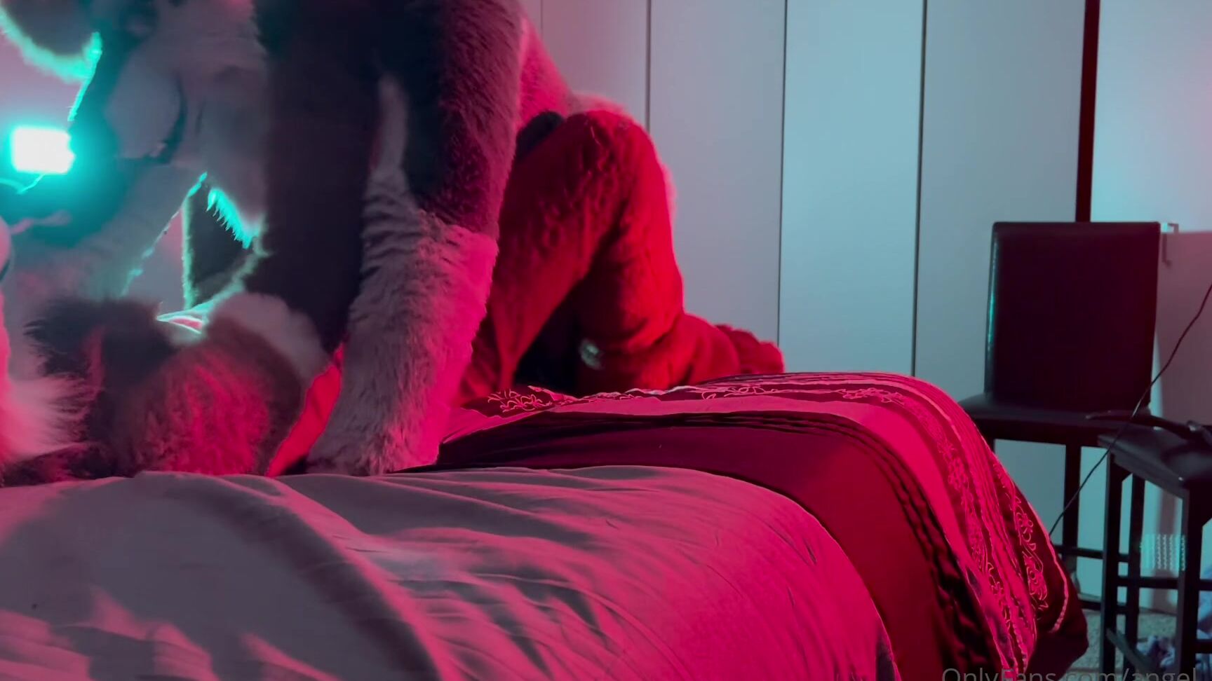 Angel Pups 1099994039 Happy Throwback Sunday Here S A Video From Early 2022 Of So 01 0Gy0Hk3Zeor3Igjli9Dmd Source