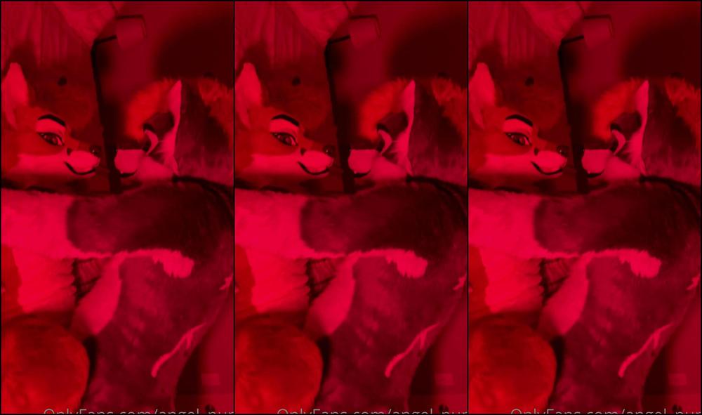 Angel Pups 279177325 Nice And Slow 01 Eabd9907 51E5 42F9 Aa92 D7631Eed1562