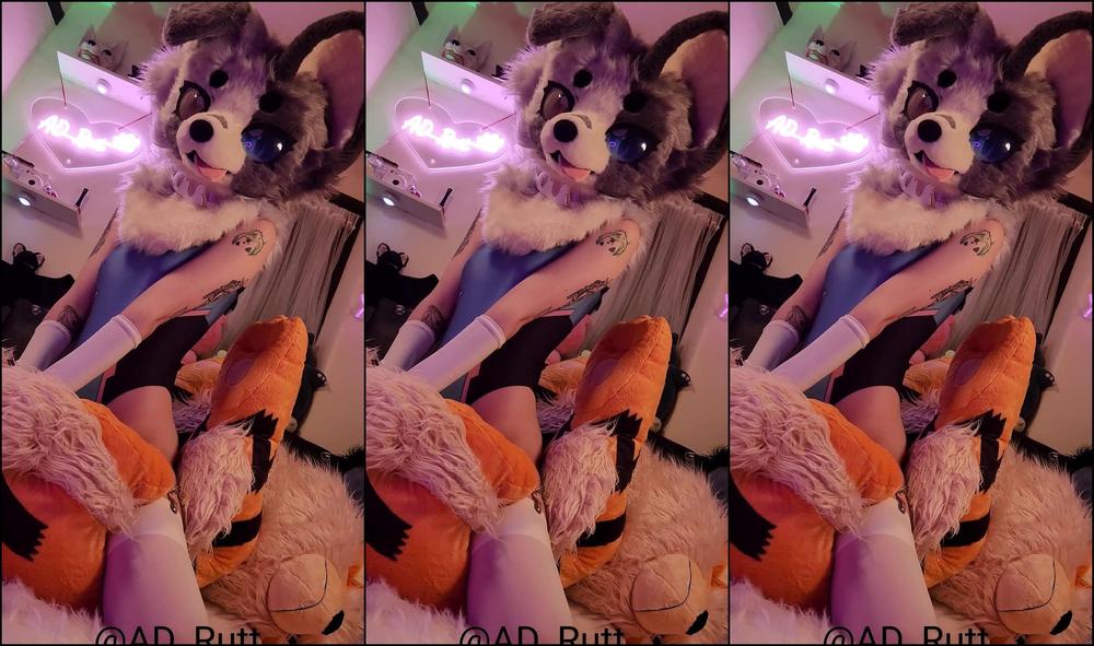 Ad Rutt 870651733 Grindy Puppy 01 0Hld7Z9S4Kq837Utwoli7 Source