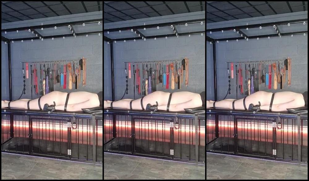 Lady Sara Borgia Onlyfans Dragon Tail