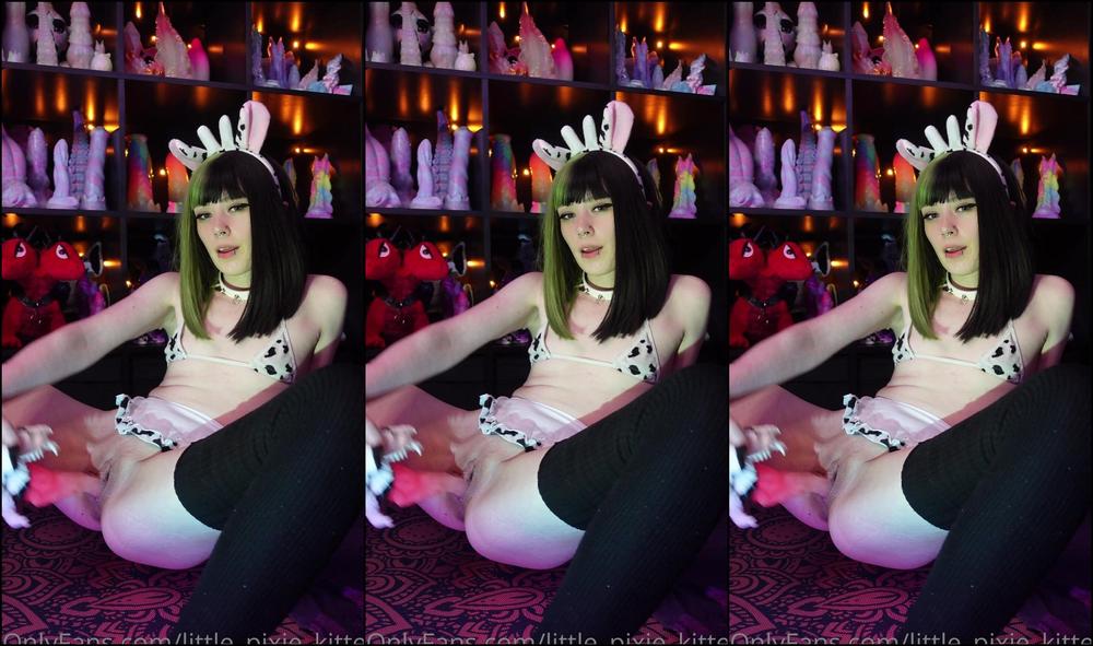 Little Pixie Kitten The Texture On The Tongue Of This Toy Is Amazing As You Can Clearly Hear And See Hope You