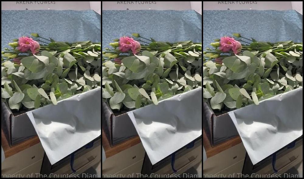 Countess Diamond Aka Countessdiamond Onlyfans I Know You Re All Trying To Impress To Get This Password Well It S Working But Who