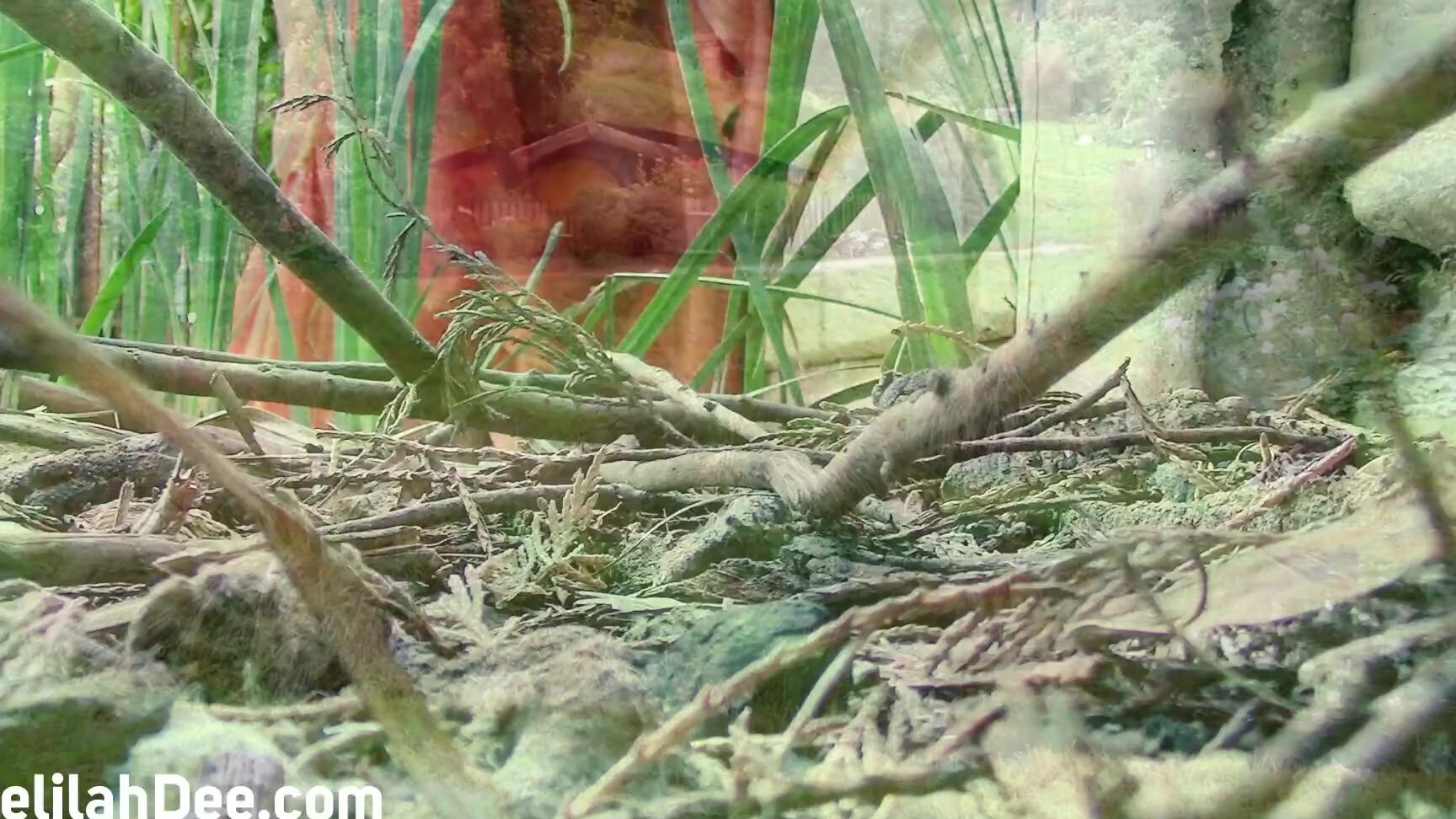 Delilah Dee Having Hobbits For Elevensies