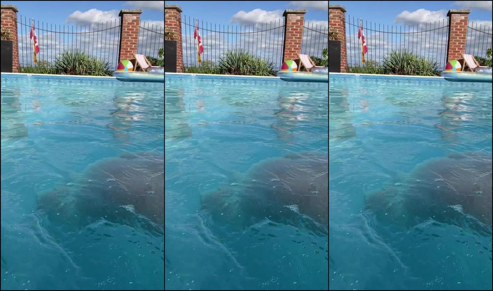 Isla Moon 2611954524 10 02 2022 Who Needs A Life Vest When I Have My Own Floaties