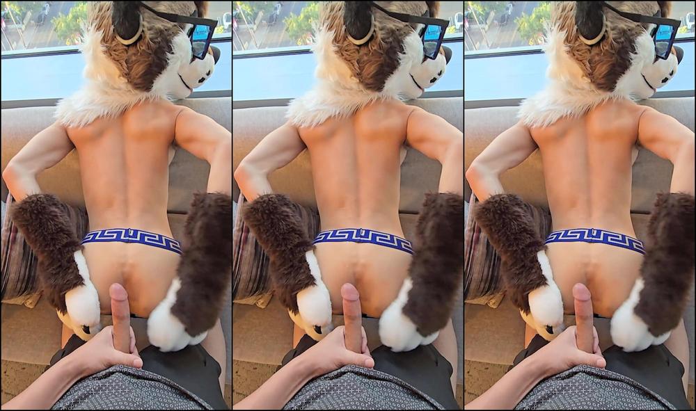 Palacewolf 1115014695 Teaser Here To Be Used As A Toy Whenever You Need A Quick 01 0Hqmqmdx6Tbmorhxkvuc5 Source