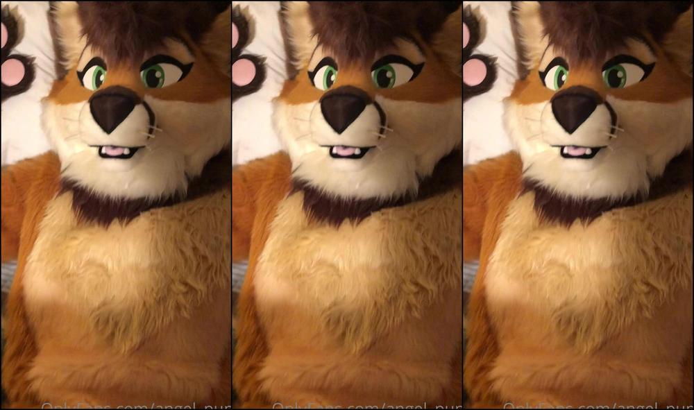 Angel Pups 209565775 Here S The First Murrsuit Content Storm And I Made Together 02 0Ec61F0C 573B 41Fc A0Ae De627Cea1Aa9