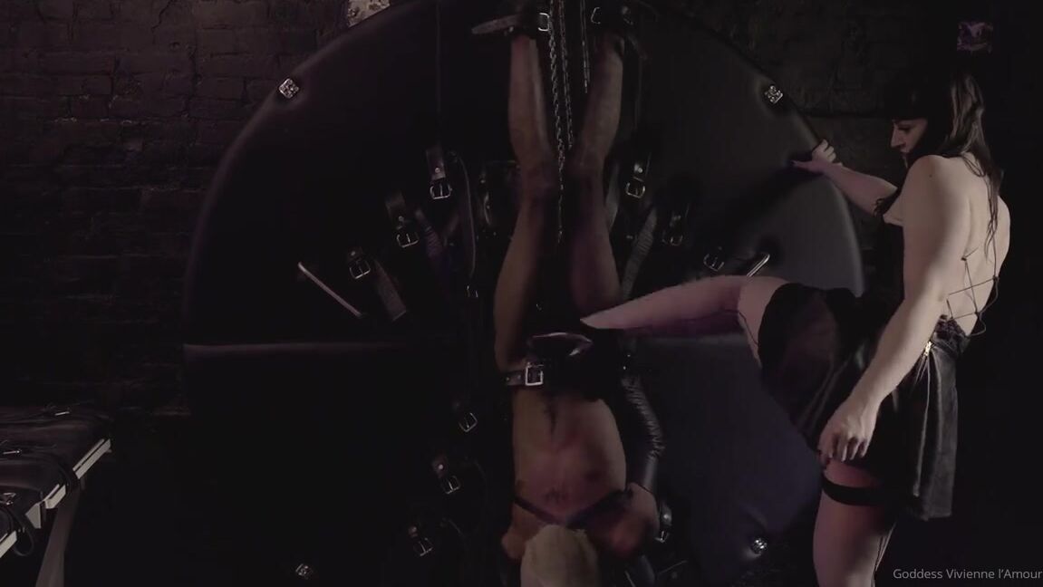 Vivienne L Amour Aka Vlproductionsuk Onlyfans Busted Slave Has Been In League With Some Fellow Criminals At The Penitentiary He Must Confess